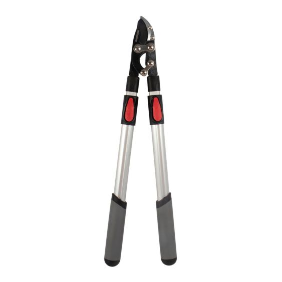 Takkenschaar Aambeeld Telescopisch 66-99 cm