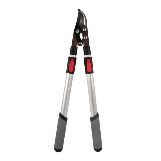 Takkenschaar Voorbijsnijdend Telescopisch 66-99 cm