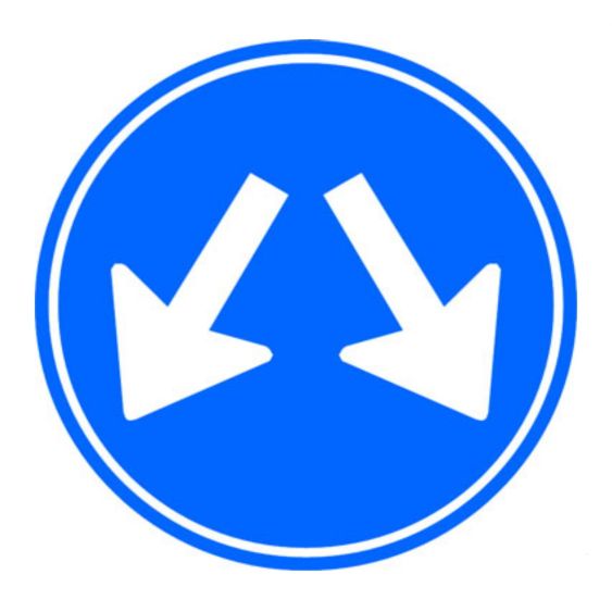 Verkeersbord RVV D03 Links of rechts passeren Ø 40 cm