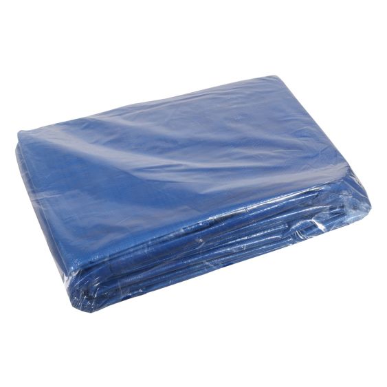 Dekkleed PE 6 x 8 meter ECO 100 gr/m² - blauw