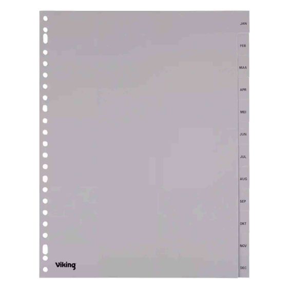  Tabbladen Maanden Jan - Dec Viking A4 Grijs 12 Tabs 23 Gaats 1