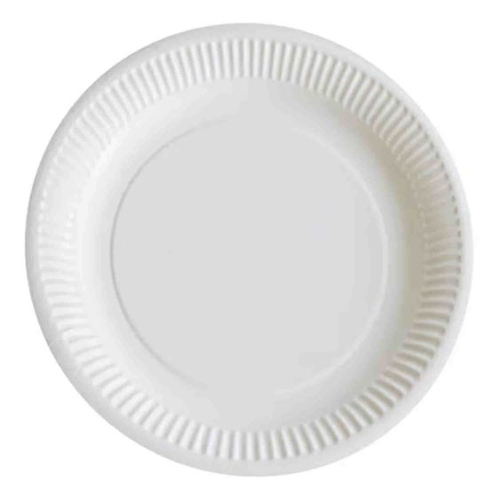 Houten Wegwerp Borden Papstar Wit - 100 stuks 1