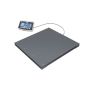 Vloerweegschaal kern BFB 600K-1NM tot 600 kg