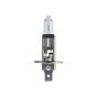H1 Lamp Aspöck 24V 70 watt PX26D