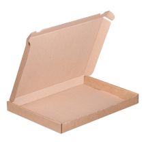 Brievenbusdoos A4 299 x 213 x 27 mm - 50 per bundel