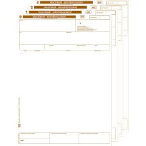 AVC laser 4 voud - model ORAL (0-1-2-3)
