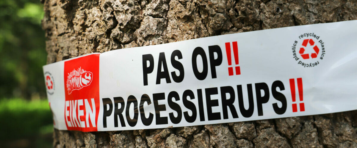 Processierups bestrijden