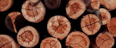 De prijs van hout stijgt wereldwijd naar recordhoogten
